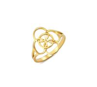 Amaxer Anillo de nudo celta, símbolo de cinco pliegues, de acero inoxidable, amuleto celta, joyería celta irlandesa para mujer, Acero inoxidable, Sin piedras preciosas