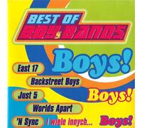 Amazing BoiBands (CD Compilation, 17 Titel, Diverse Künstler) 3T I Need You / Just 5 - kolorowe Sny / 911 - Bodyshakin / LFO - The Way You Like It / Human Nature - Tellin' Everybody / Alibi - you Got It u.a.