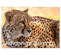 Amazing Cheetahs (Wall Calendar 2026 DIN A3 landscape), CALVENDO 12 Month Wall Calendar: Grace in the wild - cheetah moments