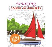 Amazing Colour-by-Numbers Large Print (Arcturus Large Print Colour by Numbers Collection)