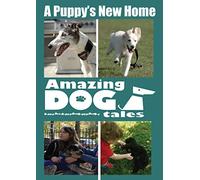 Amazing Dog Tales A Puppy's New Home [USA] [DVD]