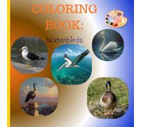 Amazing Waterbirds Coloring Book: Amazing Waterbirds Coloring Book: 27 Graceful Designs of Herons, Swans & Flamingos - A Peaceful Wetland Adventure for All Ages!