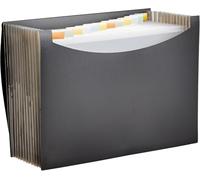 Amazon Basics Carpeta de acordeón (tamaño A4), Paquete de 1, Negra