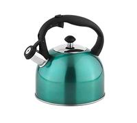 Amazon Basics Hervidor de acero inoxidable, 2.3 litros, Teal