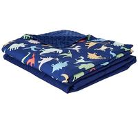 Amazon Basics Manta pesada reversible con peso infantil, funda de micromink, 1,3 kg, 91 x 121 cm, color azul/dinosaurios