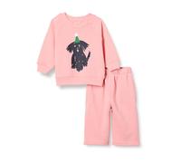 Amazon Essentials Conjunto unisex de sudadera y pantalones deportivos de rizo francés para bebés, paquete de 2, animales de fiesta de melocotón, 6-9 meses
