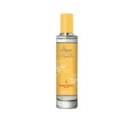 Ambar Parfum