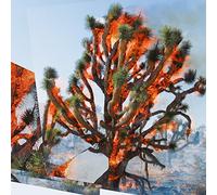 Ambarchi Kassel Rushford - Face Time [Vinilo]