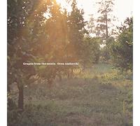 Ambarchi Oren - Grapes From The Estate [Vinilo]