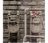 Ambarchi, Oren & O'Rourke, Jim - Indeed [Import]