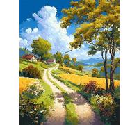 AMBATTERY Paisaje Kit De Gancho De Pestillo Camino Rural Kit De Punto De Cruz Para Adultos，Kit Para Hacer Alfombras Con Aguja De Pestillo，Set Crochet Para Tapiz 21x29in