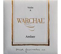 Amber a Violín Cuerdas
