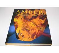 AMBER: Window to the Past