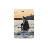 Ambientador de coche con diseño de ballena asesina, 10 piezas, hojas de ambientador con cuerda para coches y hogar