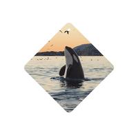 Ambientador de coche con diseño de ballena asesina, 10 piezas, hojas de ambientador con cuerda para coches y hogar