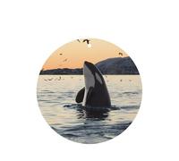 Ambientador de coche con diseño de ballena asesina, 10 piezas, hojas de ambientador con cuerda para coches y hogar