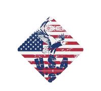 Ambientador de coche con diseño de bandera nacional estadounidense con águila, 10 hojas colgantes perfumadas para coche