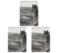Ambientador de coche con diseño de lobo en la hierba, 3 unidades, tarjetas perfumadas, lindas tarjetas aromáticas negras de larga duración, para mujeres y hombres, ambientador natural con cordón para