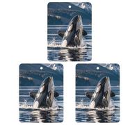 Ambientador de coche con diseño de orca de orca, 3 unidades, tarjetas perfumadas colgantes, bonitos ambientadores grises de larga duración, aromas de autos nuevos para mujeres y hombres, ambientador