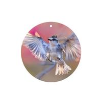 Ambientador de coche con diseño de pájaro en vuelo de forma redonda, 6 piezas, tarjeta de fragancia para colgar