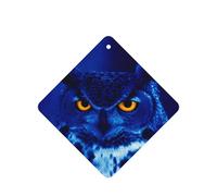 Ambientador de coche con estampado de búho azul, 10 hojas colgantes perfumadas con cuerda para el hogar
