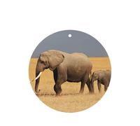 Ambientador de coche con estampado de elefante africano, 10 hojas perfumadas para colgar