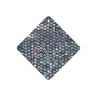 Ambientador de coche con estampado de escamas de pescado plateadas, 10 unidades, hojas de ambientador con cuerda para coche y hogar