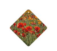 Ambientador de coche con estampado de flores de amapola, 10 piezas, hojas de ambientador con cuerda para coches y hogar