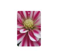 Ambientador de coche con estampado de flores rosas y blancas, 10 hojas colgantes perfumadas con cuerda para el hogar