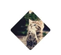 Ambientador de coche con estampado de gato, 10 hojas colgantes perfumadas con cuerda para el hogar