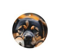 Ambientador de coche con estampado de huellas de perro, 10 unidades, hojas colgantes perfumadas con cuerda para el hogar