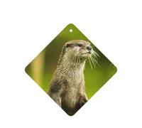 Ambientador de coche con estampado de nutria con garras para coche, 10 hojas perfumadas para colgar