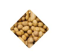 Ambientador de coche con impresión de papas de jardín, 10 piezas, hojas aromáticas, accesorios para colgar en el coche con cuerdas para decoración