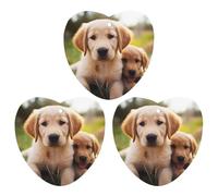 Ambientador de coche para colgar de larga duración, con imagen impresa de cachorro Golden Retriever