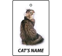 Ambientador De Coche Personalizado American Curl Cat