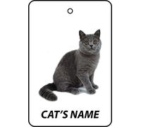 Ambientador De Coche Personalizado Exotic Shorthair Cat