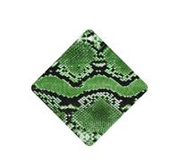 Ambientador de piel de serpiente verde, 10 unidades, con aroma a coche, hojas de ambientador con cuerda para coche y hogar