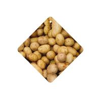 Ambientador para coche con impresión de papas de jardín, 10 unidades, hojas de ambientador con cuerda para coche y hogar