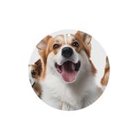 Ambientador para coche, diseño de perro, para colgar en la lengua, para decoración de habitación de automóvil, paquete de 4 unidades