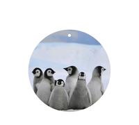 Ambientador para coche, diseño de pingüinos jóvenes con impresión de nieve, 10 unidades, hojas de ambientador con cuerda para coches y hogar