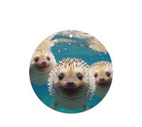 Ambientador para coche Hedgehogs in the Water - Juego de difusor perfumado de 4 piezas, fragancia de larga duración para coche, hogar y armario