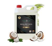Ambientador para Hogar y Negocio 5L - Recambio para Spray - Perfume (Agua de coco)