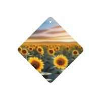 Ambientadores cuadrados para coche, diseño de girasol, flor, mar, 6 unidades, tabletas de aromaterapia para coche, armario, zapatero, elimina olores