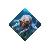 Ambientadores cuadrados para coche, diseño de pulpo con ojos grandes, 6 unidades, tabletas de aromaterapia para coche, armario, zapatero, elimina olores