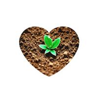 Ambientadores de aire en forma de corazón para coche, plantas de suelo, patrón de crecimiento, 6 unidades, tabletas de aromaterapia para coche, armario de zapatos, elimina olores