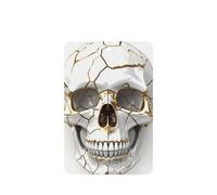 Ambientadores de coche agrietados dorados con diseño de calavera humana, 4 unidades, tarjetas perfumadas colgantes, tarjetas aromáticas para tabletas de aromaterapia de coche