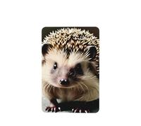 Ambientadores de coche con bonito patrón de erizo, 4 unidades, rectangulares colgantes, tabletas de aromaterapia, ambientadores perfumados para dormitorio y baño