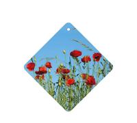 Ambientadores de coche con diseño de amapolas en el cielo, 10 unidades, para hojas colgantes perfumadas para baño, con cuerda