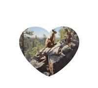 Ambientadores de coche con diseño de ardilla en roca, 6 unidades, en forma de corazón, para colgar en tabletas de aromaterapia, ambientadores perfumados para dormitorio y baño