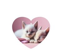 Ambientadores de coche con diseño de dos gatitos durmiendo, 6 unidades, pastillas de aromaterapia colgantes en forma de corazón, ambientadores perfumados para dormitorio y baño